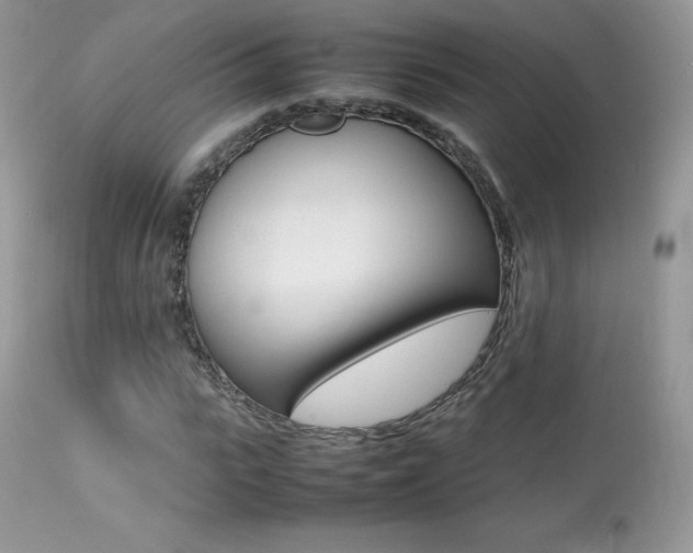 X0000113640919200909181325