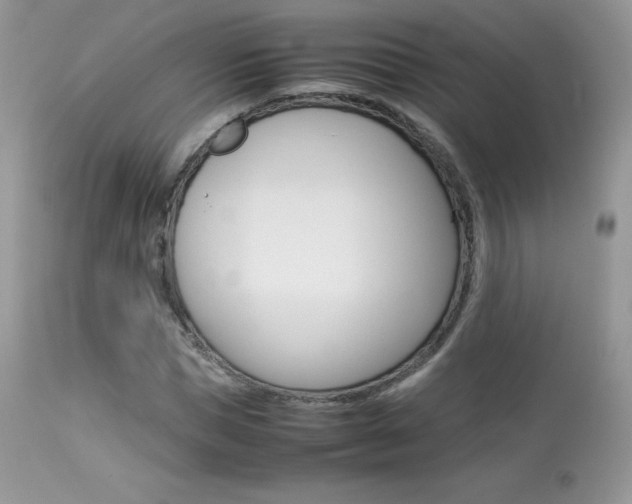 X0000113640921200909181325