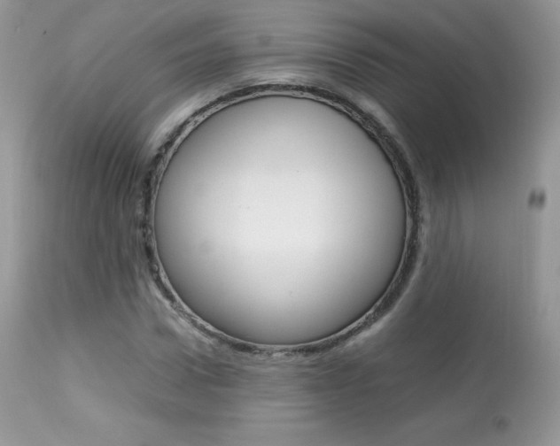 X0000113640922200909181325