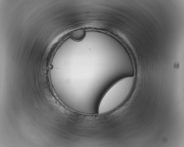 X0000113640923200909181325