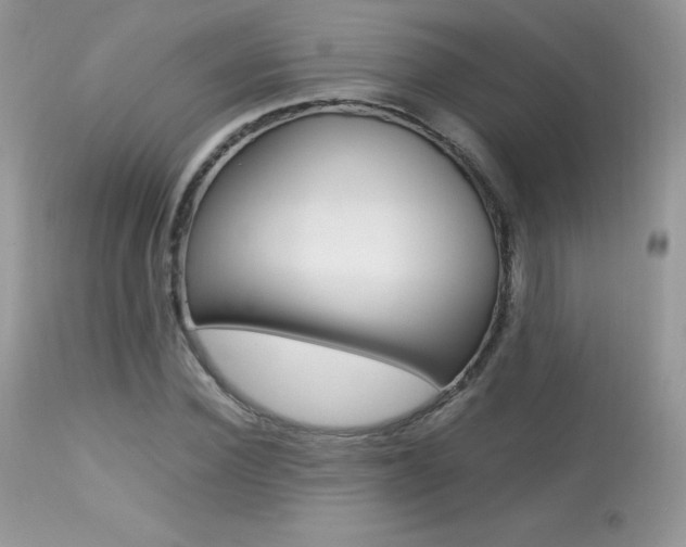 X0000113640924200909181325
