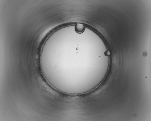 X0000113640926200909181325
