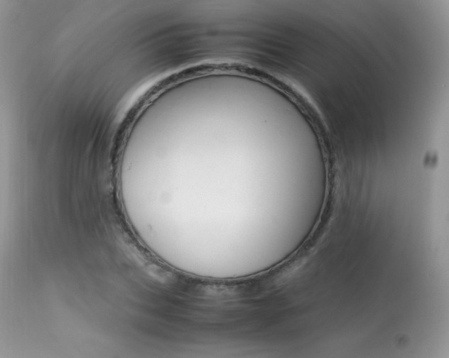 X0000113640927200909181325