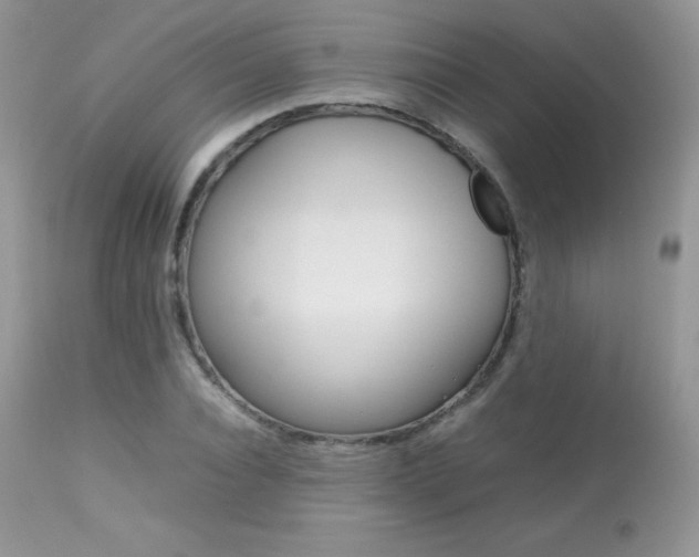 X0000113640928200909181325