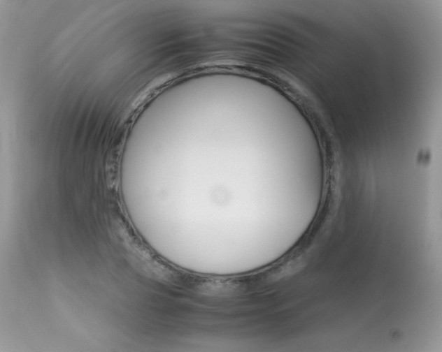X0000113640929200909181325