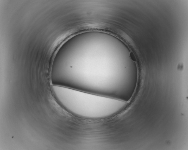 X0000113640930200909181325