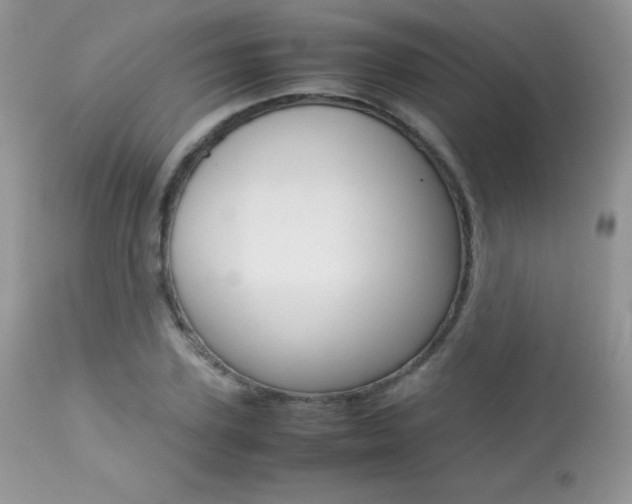 X0000113640931200909181325