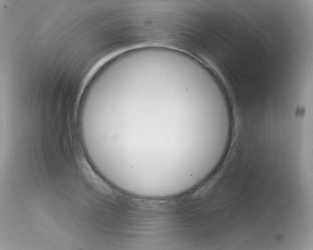 X0000113640932200909181325