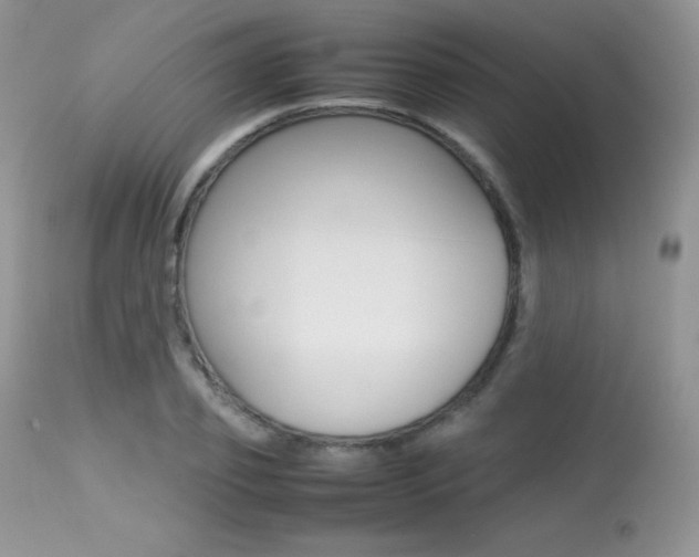 X0000113640933200909181325