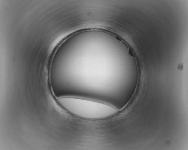 X0000113640936200909181326