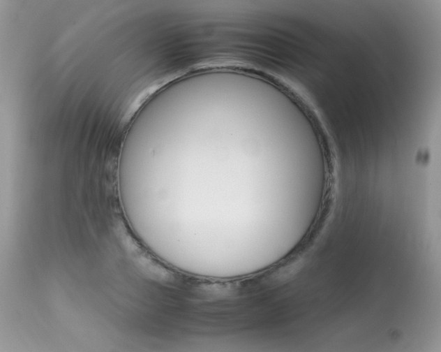 X0000113640937200909181326