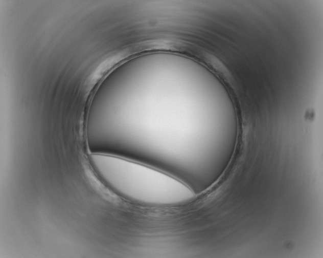 X0000113640938200909181326