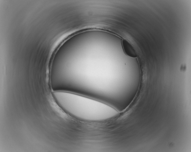 X0000113640940200909181326