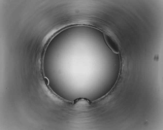 X0000113640944200909181326
