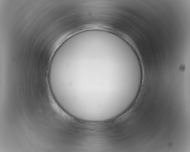 X0000113640946200909181326