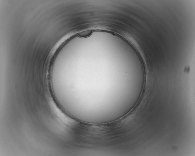 X0000113640947200909181326