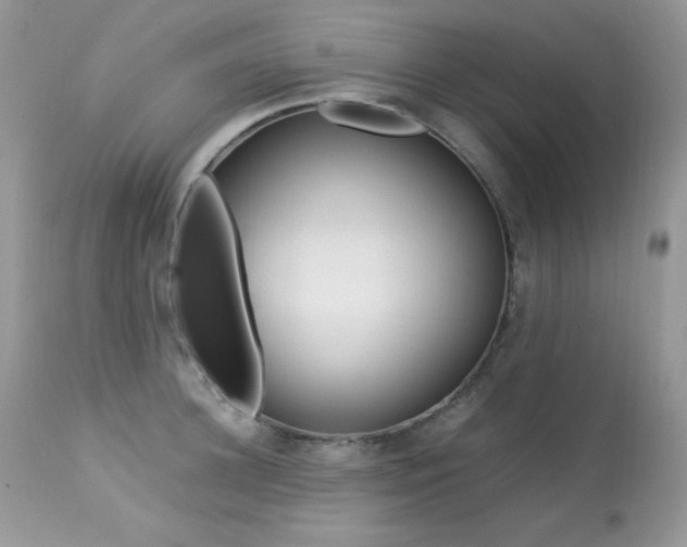 X0000113640948200909181326