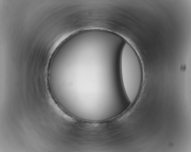 X0000113640949200909181326