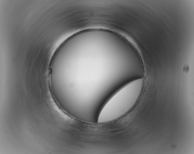 X0000113640951200909181326