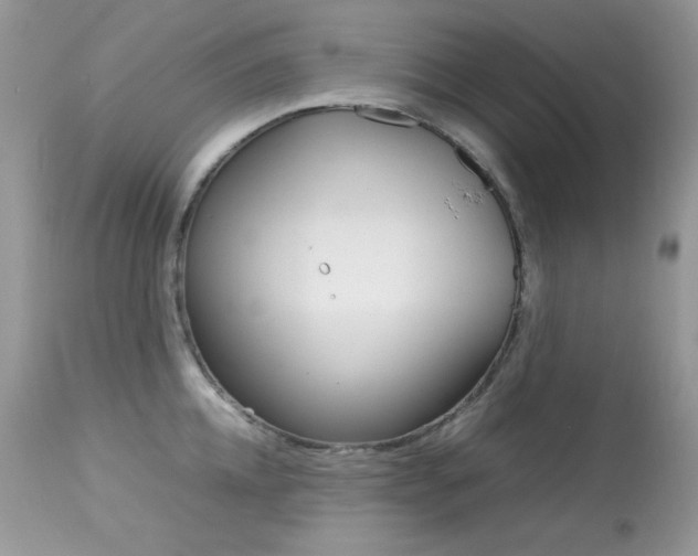 X0000113640952200909181326