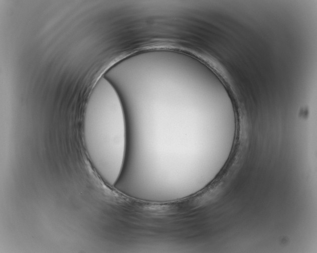 X0000113640953200909181326
