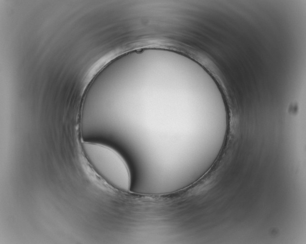 X0000113640954200909181326