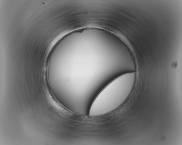 X0000113640955200909181326
