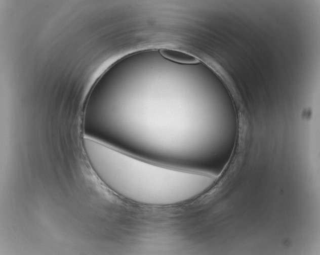 X0000113640956200909181326