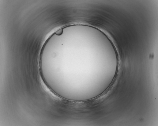 X0000113640957200909181326