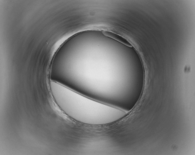 X0000113640960200909181326