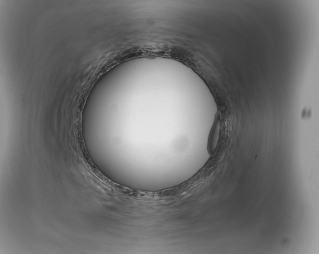 X0000113640961200909181325