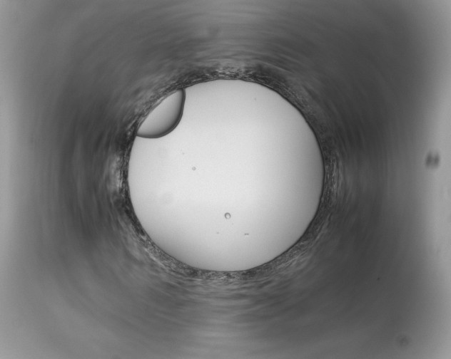 X0000113640962200909181325