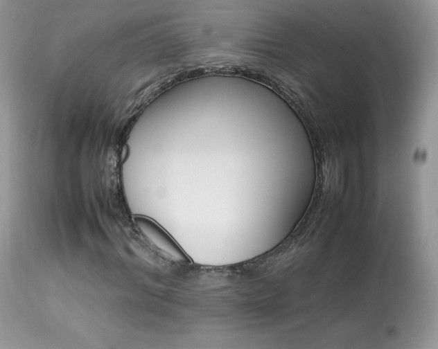 X0000113640964200909181325