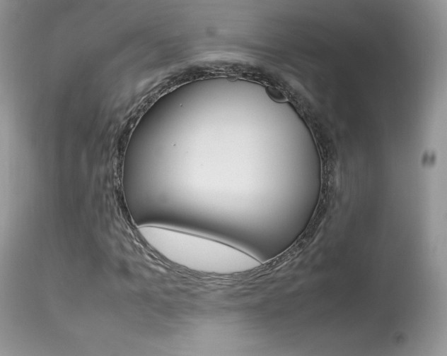X0000113640965200909181325