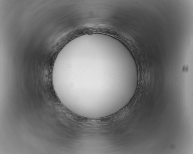 X0000113640966200909181325