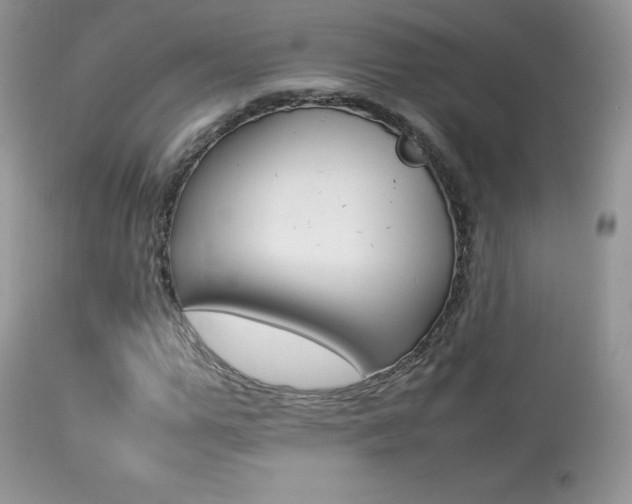 X0000113640967200909181325