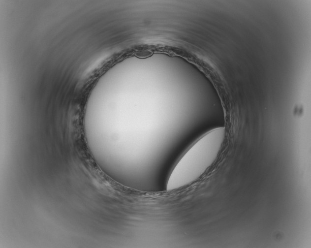 X0000113640968200909181325