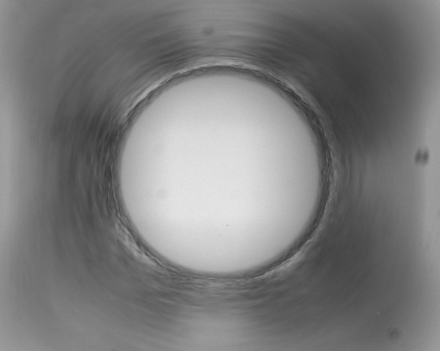 X0000113640969200909181325