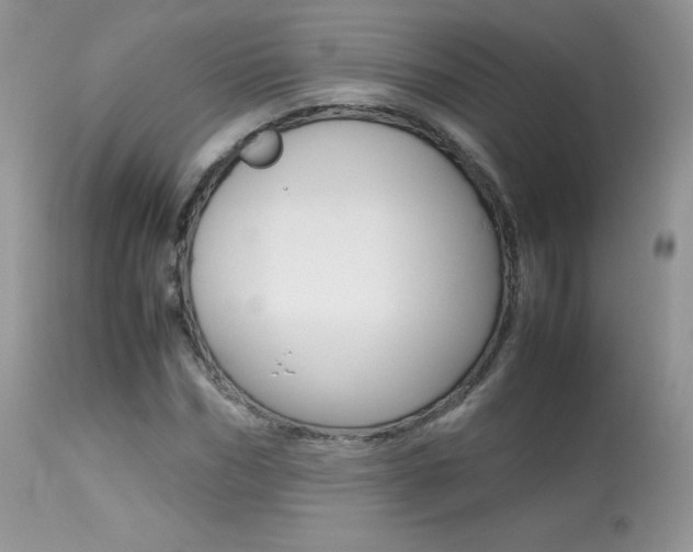 X0000113640970200909181325
