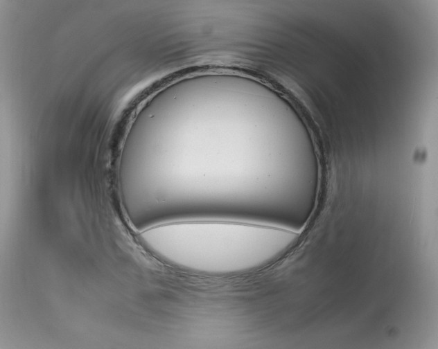 X0000113640971200909181325