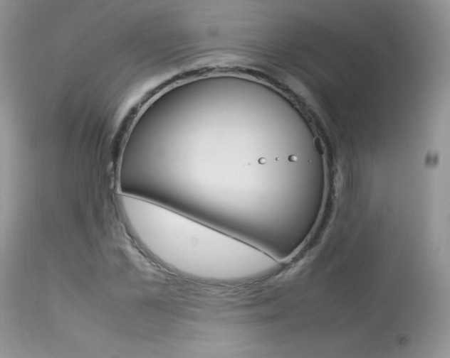 X0000113640973200909181325