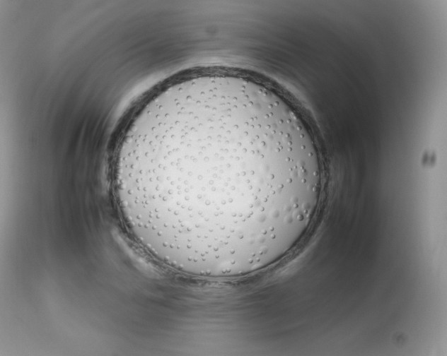 X0000113640974200909181325