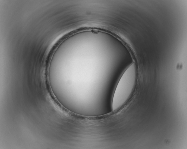 X0000113640976200909181325