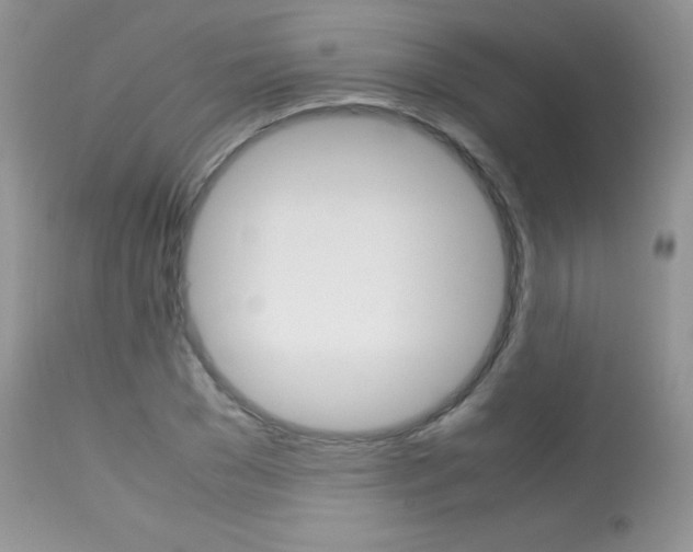 X0000113640977200909181325
