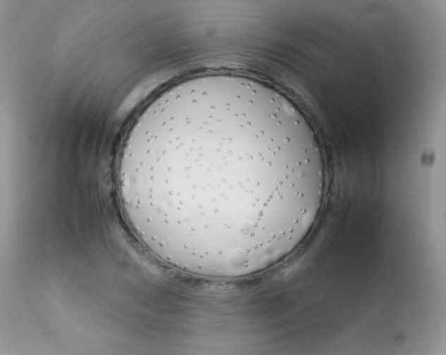 X0000113640978200909181325