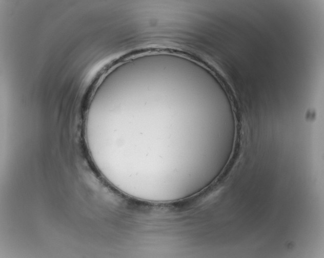 X0000113640979200909181325