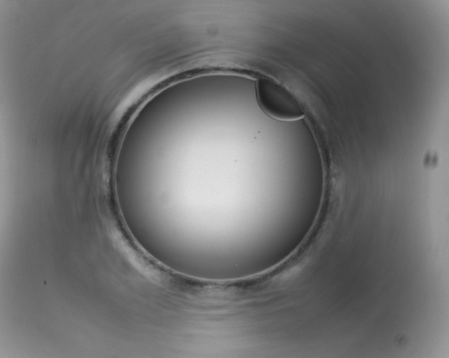 X0000113640981200909181325