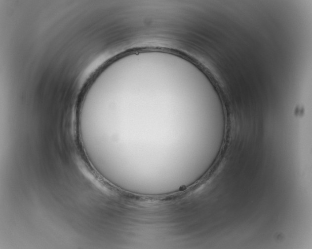 X0000113640982200909181325