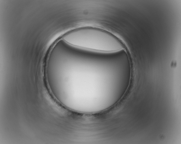 X0000113640983200909181325