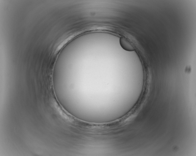 X0000113640985200909181325